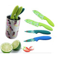 Cuchillo de cocina plástico colorido de la manija 4PCS fijado (SE-3557)